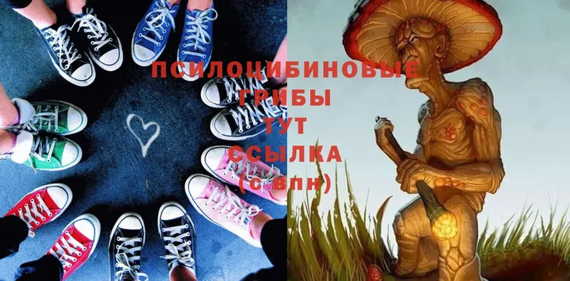 Галлюциногенные грибы MAGIC MUSHROOMS  Благодарный 